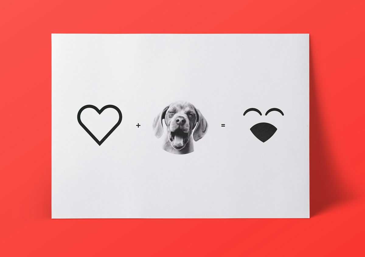 PETS AND GO